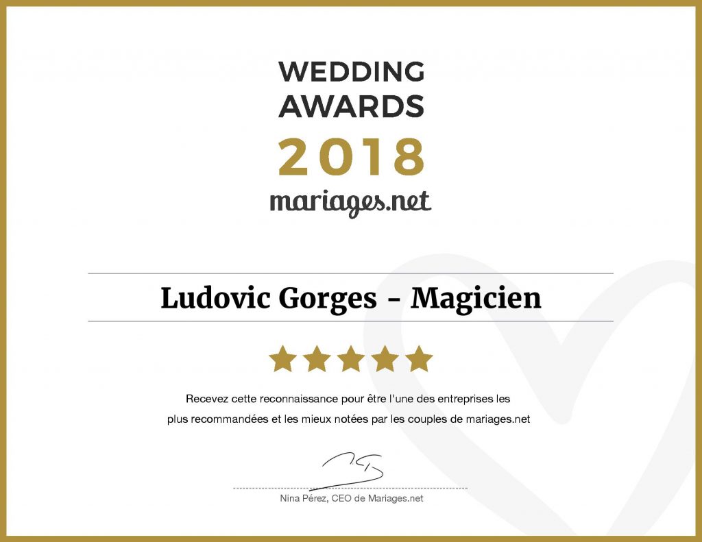 Magicien Limousin Wedding Awards