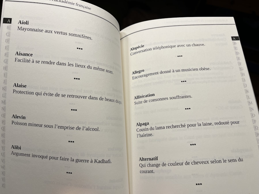 Extrait-tome-1-Antidictionnaire-hackademie-francaise